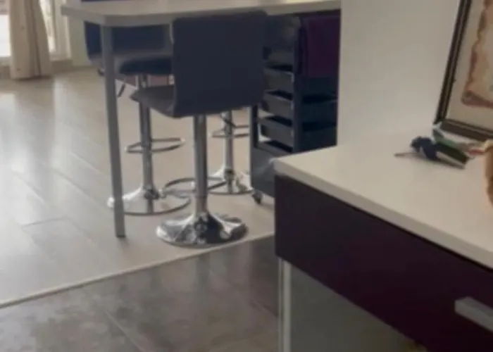 Bryan,s-1 Sp - Pomorie